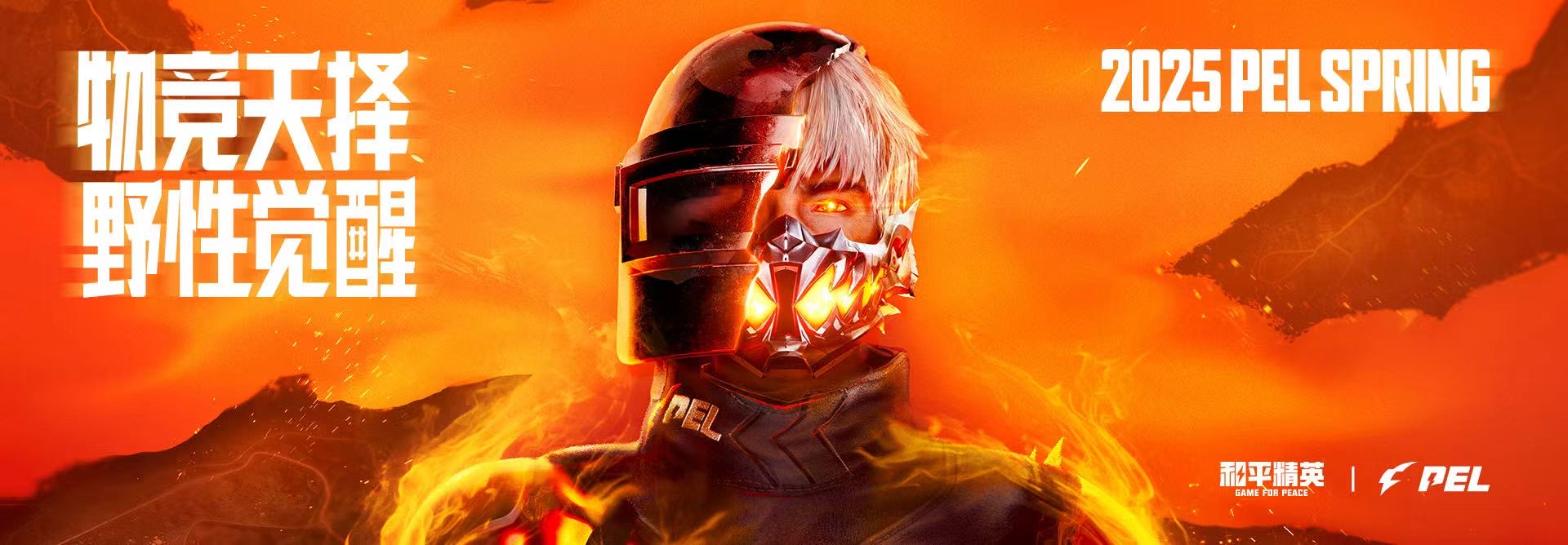 探索和平精英辅助对游戏公平性的挑战